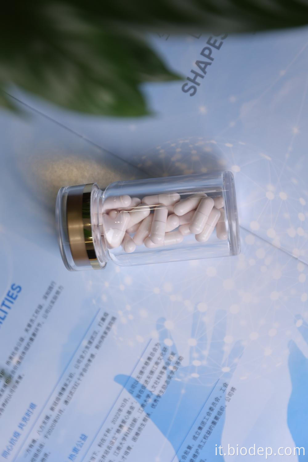 Lactobacillus Gasseri